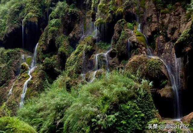 寿司的传统做法？游戏画面